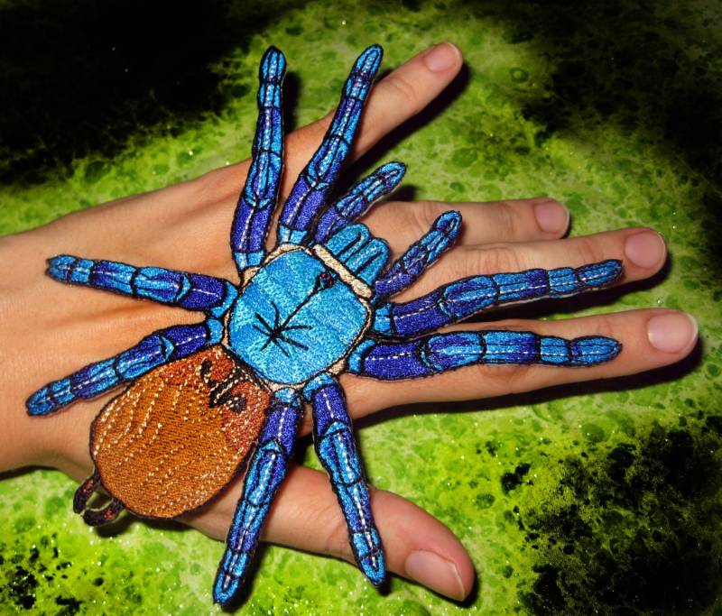 Grüne Flasche Blau Tarantula Spinne Steam Punk Aufnäher von SpiderStitchesParlor