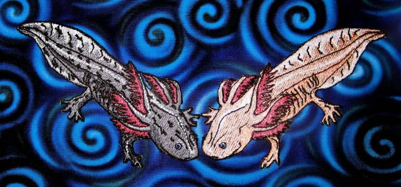 Leben Wie Wild Und Rosa Axolotl "Ambystoma Mexicanum" Paar Eisen Auf Patch von SpiderStitchesParlor