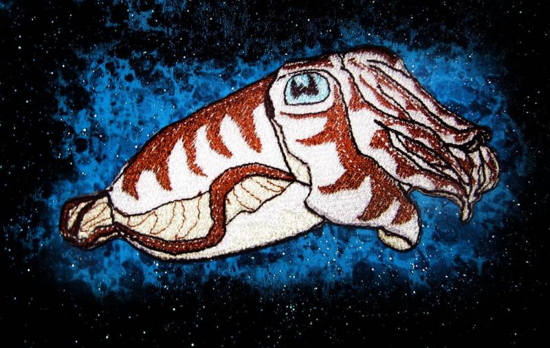 Natürliche Nautilus Farbe Tintenfisch Eisen Auf Patch von SpiderStitchesParlor