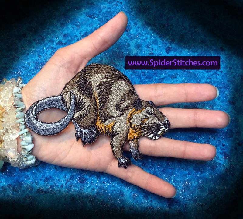 Nutria Ratte Myocastor Coypus Eisen Auf Patch von SpiderStitchesParlor