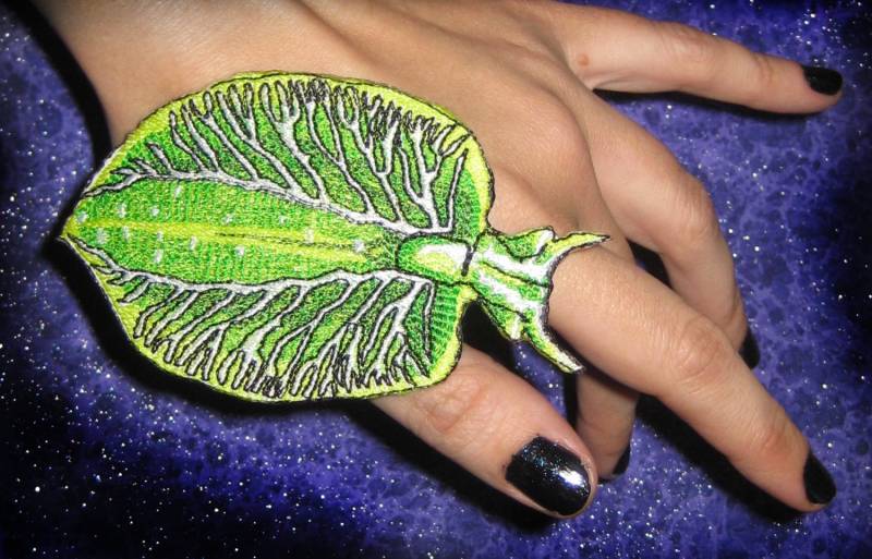 Östliche Smaragd Elysia Meer Schnecke Chlorotica Eisen Auf Patch von SpiderStitchesParlor