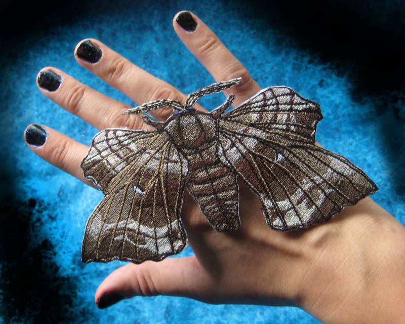 Pappel Falkenfalter Bügelfalter Laothoe Populi Insekt von SpiderStitchesParlor