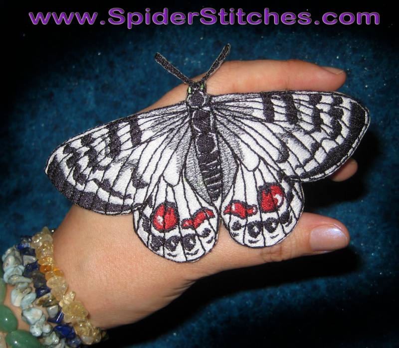 Regal Apollo Schmetterling Insekt Eisen Auf Patch Parnassius Charltonius von SpiderStitchesParlor