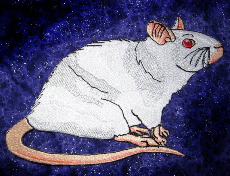 Riesige Fancy Albino Ratte Eisen Auf Patch Nähen Applikation von SpiderStitchesParlor