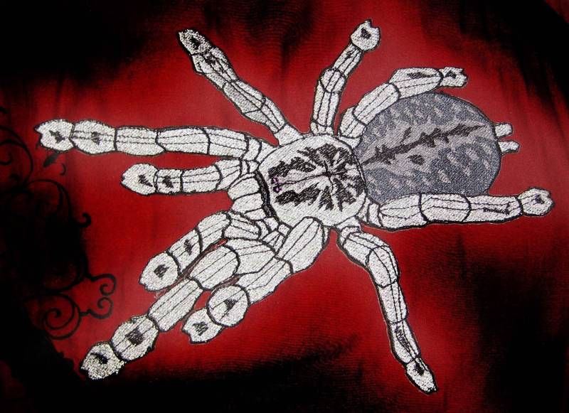 Riesige Silber Togo Starburst Baboon Tarantula Heteroscodra Maculata Spider Steam Punk Eisen Auf Patch von SpiderStitchesParlor