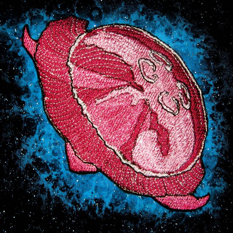 Rosa Mond Quallen Eisen Auf Patch von SpiderStitchesParlor