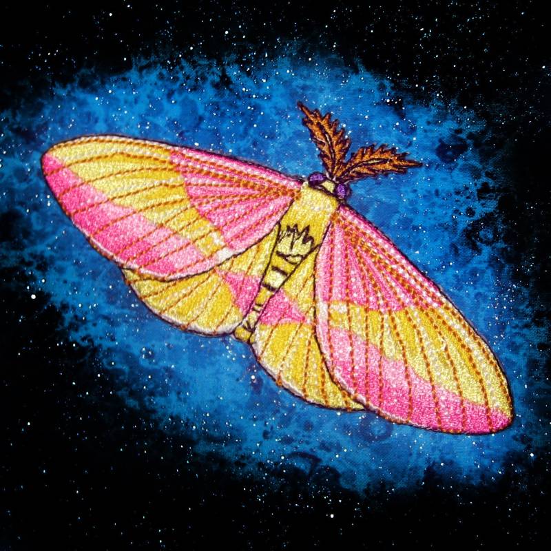 Rosy Maple Moth Dryocampa Rubicunda Eisen Auf Patch von SpiderStitchesParlor