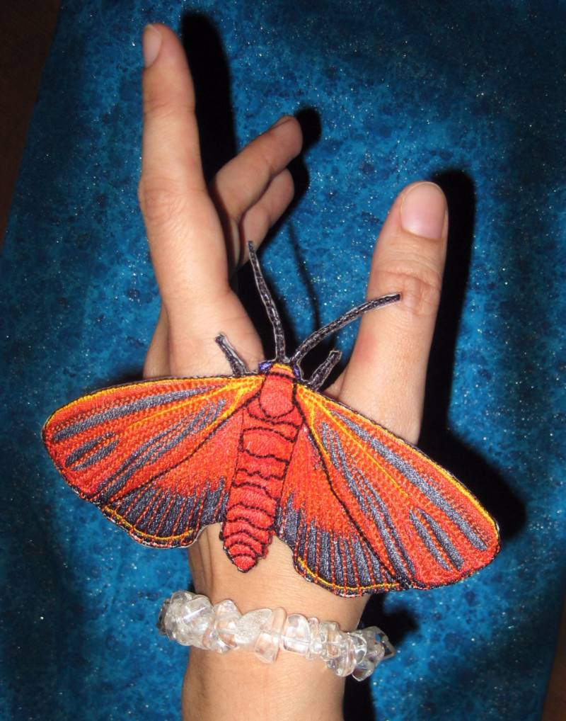 Scharlach Geflügelte Lichen Motte Eisen Auf Patch Hypoprepia Miniata Rote von SpiderStitchesParlor