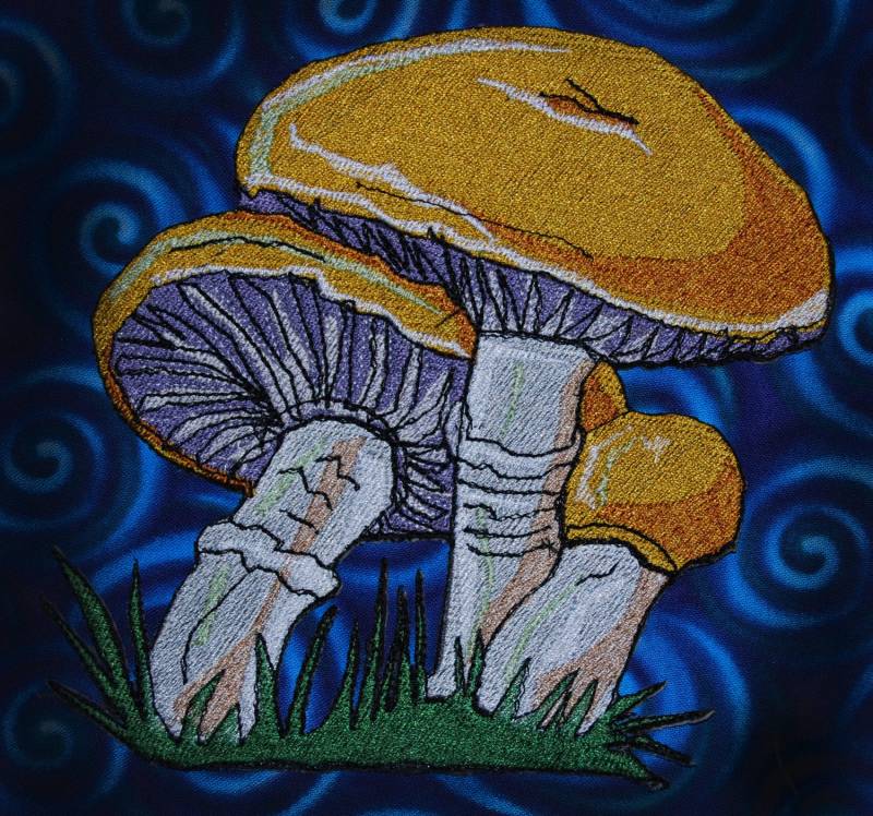 Schöne Boletus Edulis Pilz Penny Bun Porcino Cep Eisen Auf Patch von SpiderStitchesParlor