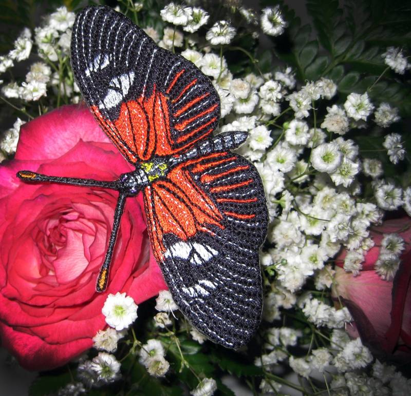 Schönes Leben Größe Rote Passion Blume Schmetterling Heliconius Erato Insekt Dampf Punk Eisen Auf Patch von SpiderStitchesParlor