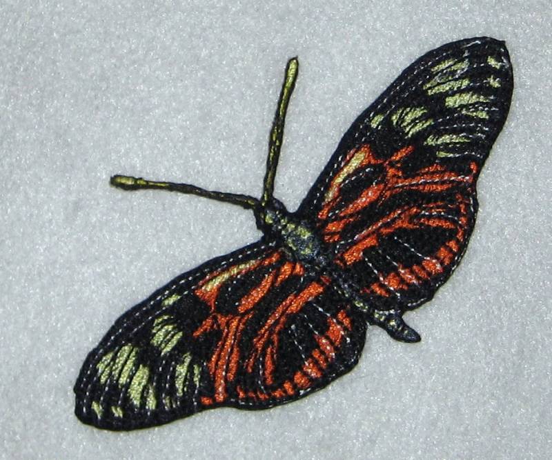 Schönes Leben Größe Tiger Langflügel Schmetterling Heliconius Numata Insekt Steam Punk Eisen Auf Patch von SpiderStitchesParlor
