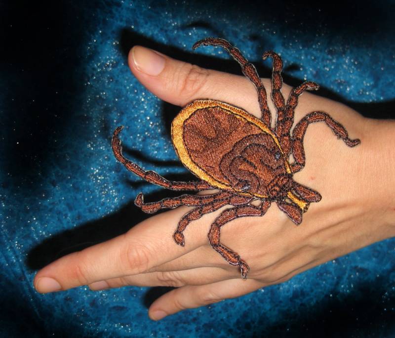 Schwarzlegged Hirsch Tick Ixodes Pacificus Aufnäher Applikation von SpiderStitchesParlor