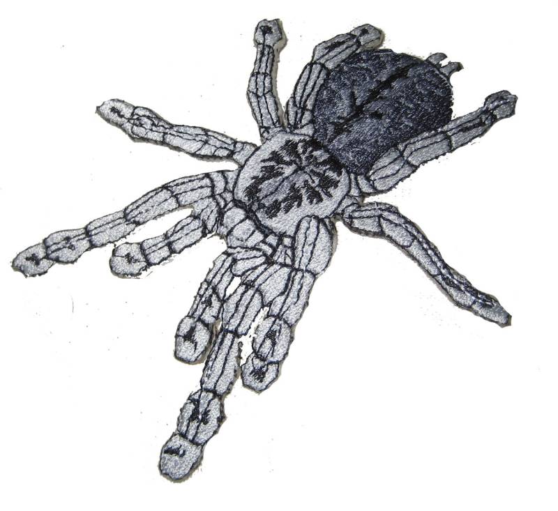 Silber Togo Starburst Baboon Tarantula Heteroscodra Maculata Spinne Steam Punk Eisen Auf Patch von SpiderStitchesParlor