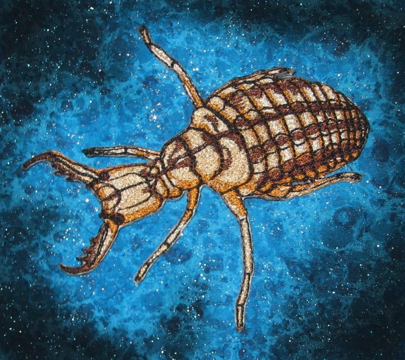 Super Ameise Löwen Larve Bügelbild Insekt Patch von SpiderStitchesParlor