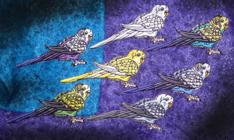 Wählen Sie Ihre Farbe Wellensittich Aufnäher Gelb Blau Türkis Weiß Lila von SpiderStitchesParlor