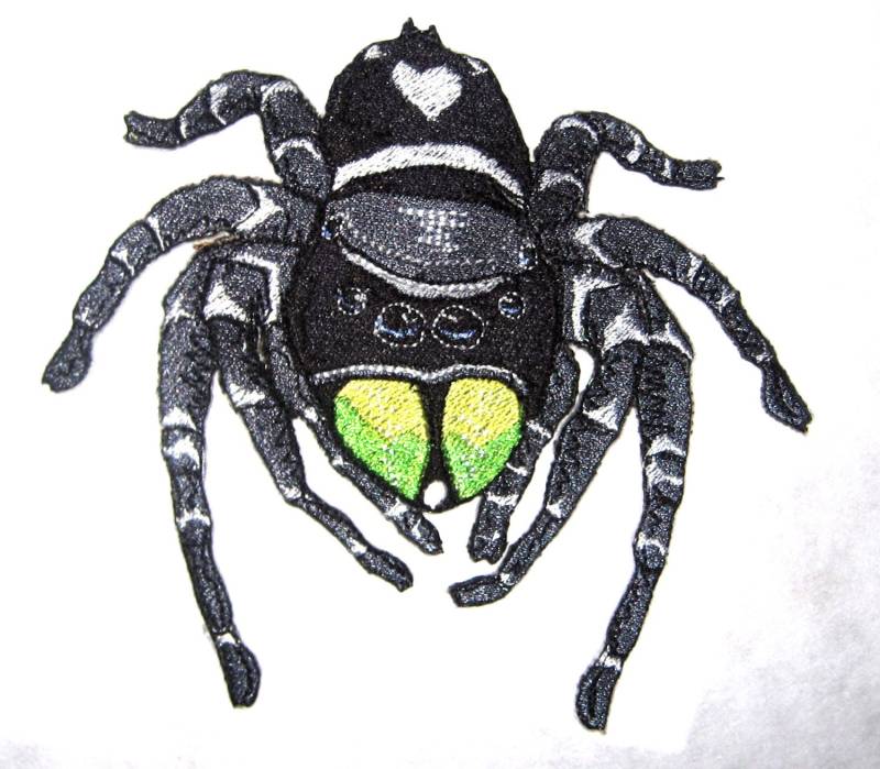 Wagemutige Kühne Jumping Spider "Phidippus Audax " Steam Punk Eisen Auf Patch von SpiderStitchesParlor