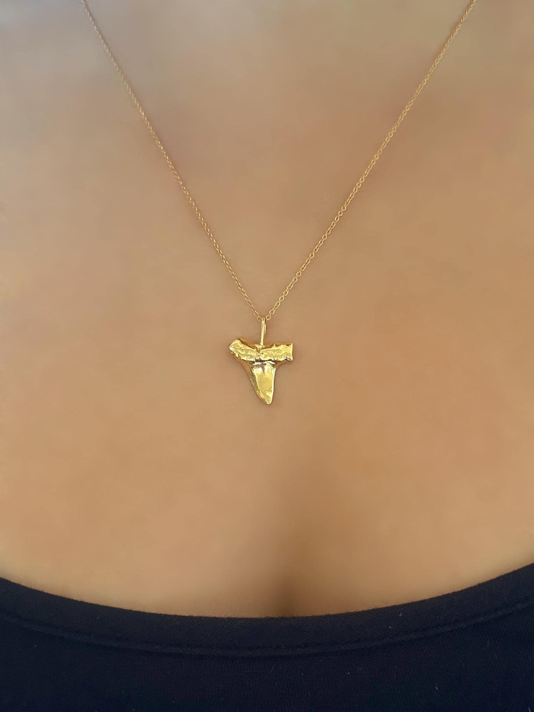 Gold Vermeil Haifischzahn Anhänger Halskette An 14K Filled Kette Gold Vermeil Haifischzahn Anhänger Halskette An 14K Filled Kette von SpindriftHawaii