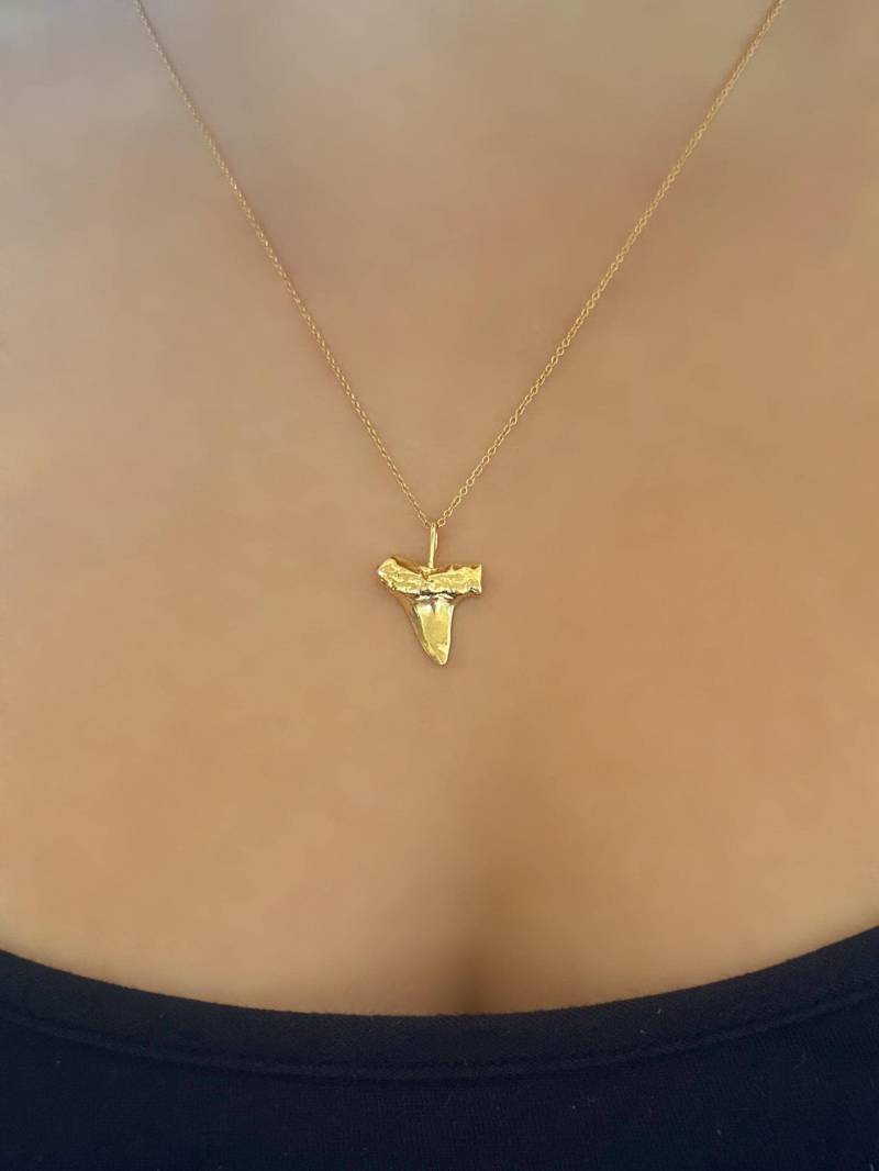 Gold Vermeil Haifischzahn Anhänger Halskette An 14K Filled Kette Gold Vermeil Haifischzahn Anhänger Halskette An 14K Filled Kette von SpindriftHawaii