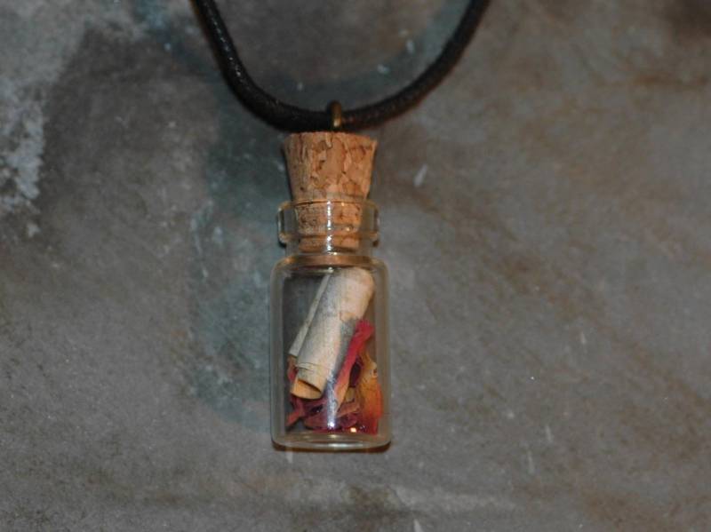 Rose Blütenblatt Halskette - Hochzeitsgeschenk Glasschmuck Valentinstag Geschenk Blume Liebe Nachricht Auf Silber Birke Rinde von Spiritofireland