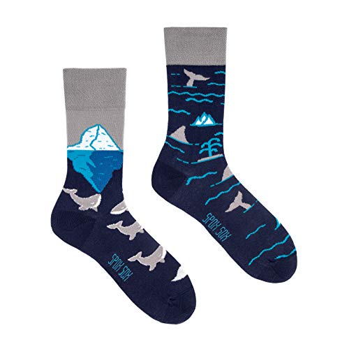 Spox Sox Casual Unisex für Damen und Herren – lustige, mehrfarbige, bunte, verrückte, unterschiedliche, gemusterte Socken für Individualisten, Gr. 36-39, Arktische Wale von Spox Sox