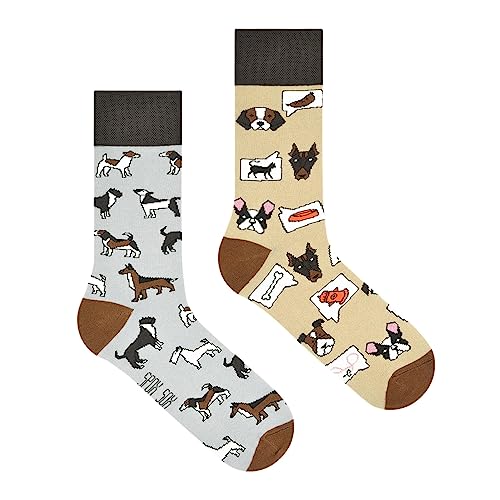 Spox Sox Casual Unisex für Damen und Herren - lustige, mehrfarbige, bunte, verrückte, unterschiedliche, gemusterte Socken für Individualisten, Gr. 36-39, Hunde von Spox Sox