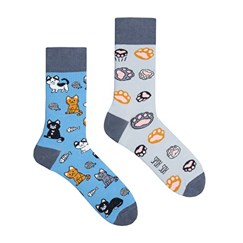 Spox Sox Casual Unisex für Damen und Herren – lustige, mehrfarbige, bunte, verrückte, unterschiedliche, gemusterte Socken für Individualisten, Gr. 36-39, Katzen von Spox Sox