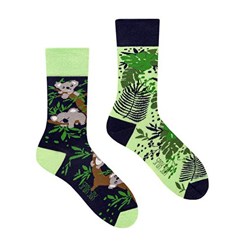 Spox Sox Casual Unisex für Damen und Herren – lustige, mehrfarbige, bunte, verrückte, unterschiedliche, gemusterte Socken für Individualisten, Gr. 36-39, Koala von Spox Sox