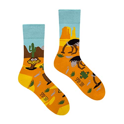 Spox Sox Casual Unisex für Damen und Herren – lustige, mehrfarbige, bunte, verrückte, unterschiedliche, gemusterte Socken für Individualisten, Gr. 36-39, Strauß von Spox Sox