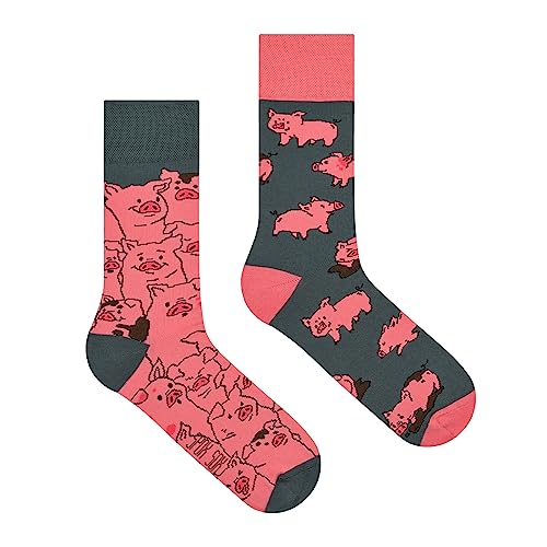 Spox Sox Casual Unisex für Damen und Herren - lustige, mehrfarbige, bunte, verrückte, unterschiedliche, gemusterte Socken für Individualisten, Gr. 40-43, Schweínchen von Spox Sox