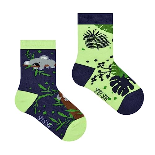 Spox Sox Casual Unisex für Kinder - lustige, mehrfarbige, bunte, verrückte, unterschiedliche gemusterte Socken für Individualisten, Gr. 23-26, Koala von Spox Sox