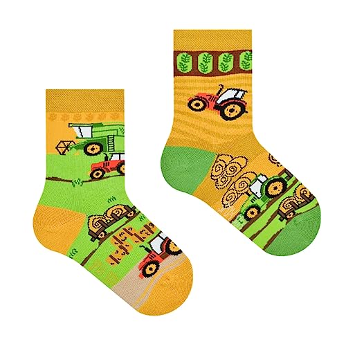 Spox Sox Casual Unisex für Kinder - lustige, mehrfarbige, bunte, verrückte, unterschiedliche gemusterte Socken für Individualisten, Gr. 27-30, Traktoren von Spox Sox