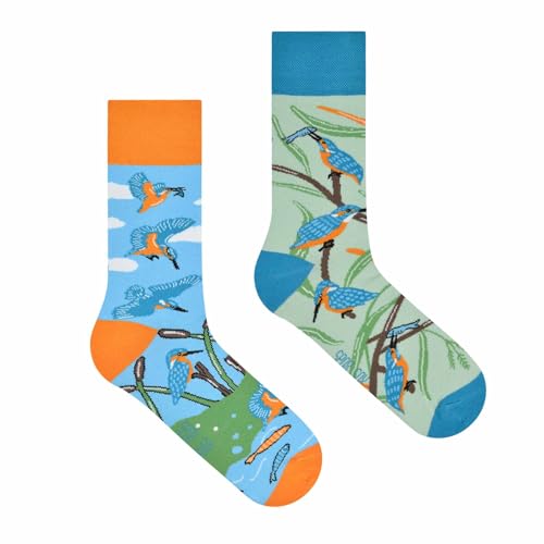 Spox Sox Casual Unisex - lustige, verrückte, bunte Socken für Damen und Herren, Gr. 44-46, Eisvogel von Spox Sox