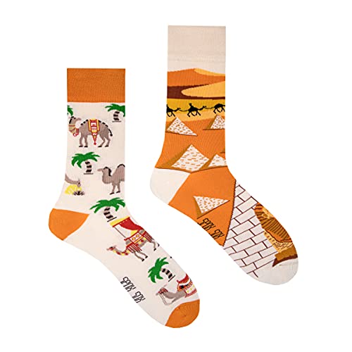 Spox Sox Casual Unisex für Damen und Herren – lustige, mehrfarbige, bunte, verrückte, unterschiedliche, gemusterte Socken für Individualisten, Gr. 36-39, Kamele von Spox Sox