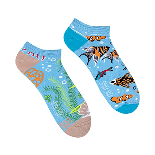 Spox Sox Casual Unisex für Damen und Herren – lustige, mehrfarbige, bunte, verrückte, unterschiedliche Sneaker Socken für Individualisten, Gr. 36-39, Aquarium von Spox Sox