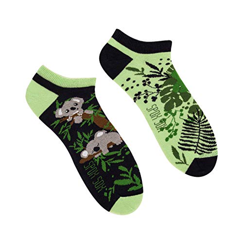 Spox Sox Casual Unisex für Damen und Herren – lustige, mehrfarbige, bunte, verrückte, unterschiedliche Sneaker Socken für Individualisten, Gr. 36-39, Koala von Spox Sox