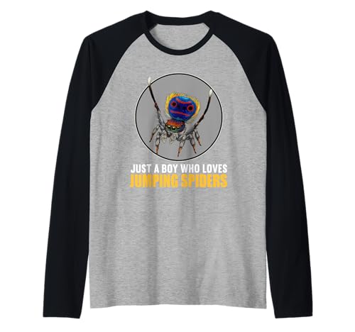 Herren Springspinnen Springspinne Raglan von Springspinnen Springspinne Tier Shop
