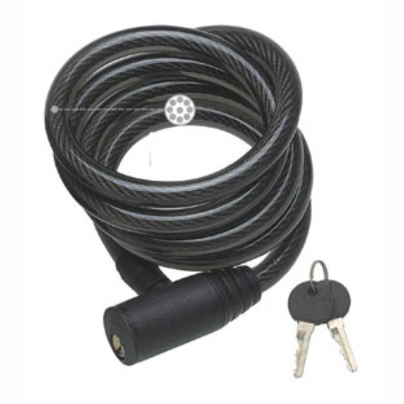 Spypoint Diebstahlsicherung von Spypoint