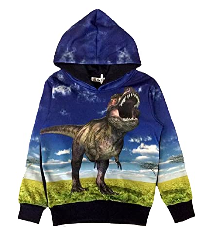Squared & Cubed S&C Jungen Kapuzenpullover Dinosaurier Sweatshirt mit Kapuze Dino Saurier Hoodie H-153 (122) von Squared & Cubed