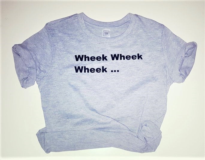 Meerschweinchen T-Shirt "Wheek' Für Kinder Und Erwachsene von SqueakyWear