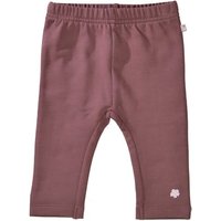 STACCATO Sweatleggings dark plum von Staccato