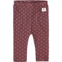 Staccato Leggings plum gemustert von Staccato