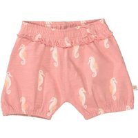 Staccato Shorts lobster gemustert von Staccato