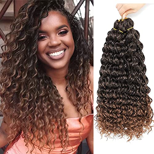 GoGo Curl Häkeln Haar Wasser Welle Lockiges Häkeln Haar Wellig Deep Wave Beach Curl Häkeln Synthetische Haar Extensions für Frauen (1B/30) von Star Flower