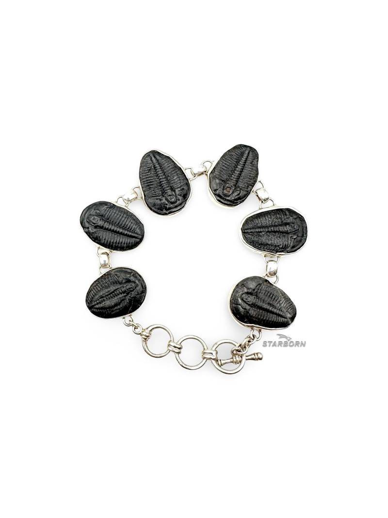 Echtes 925 Sterling Trilobit Fossilien Armband Aus Utah Echtes 925 Sterling Trilobit Fossilien Armband Aus Utah von StarbornEurope