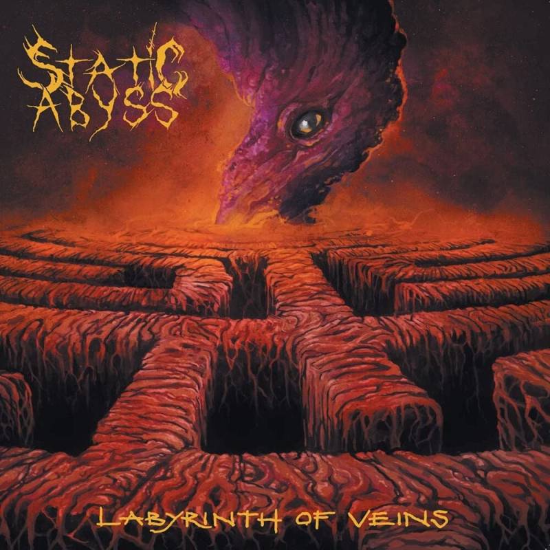 Static Abyss Labyrinth of veins CD multicolor von Static Abyss