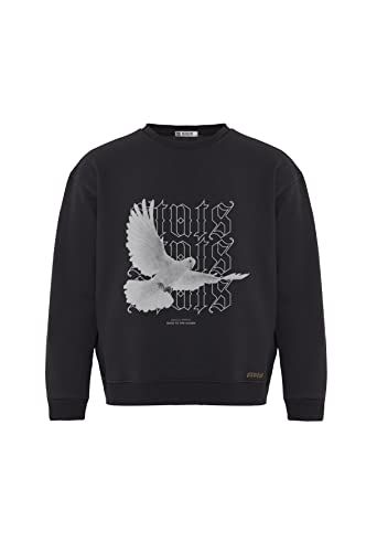 Pigeon Fitted Oversized Heavy Men Sweatshirt, Rundhals-Ausschnitt mit Dropped Shoulders Streetwear Sweatshirt, Baumwolle Herren Pullover (XL, Grau) von Stats