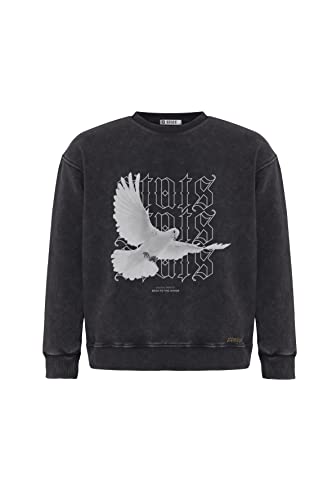 Stats Pigeon Fitted Oversized Heavy Men Sweatshirt, Rundhals-Ausschnitt mit Dropped Shoulders Streetwear Sweatshirt, Baumwolle Herren Pullover (M, Stone) von Stats