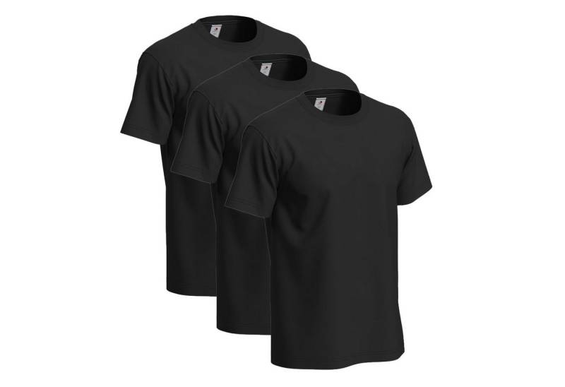 Stedman T-Shirt Basic 3er Pack schwere Qualität von Stedman
