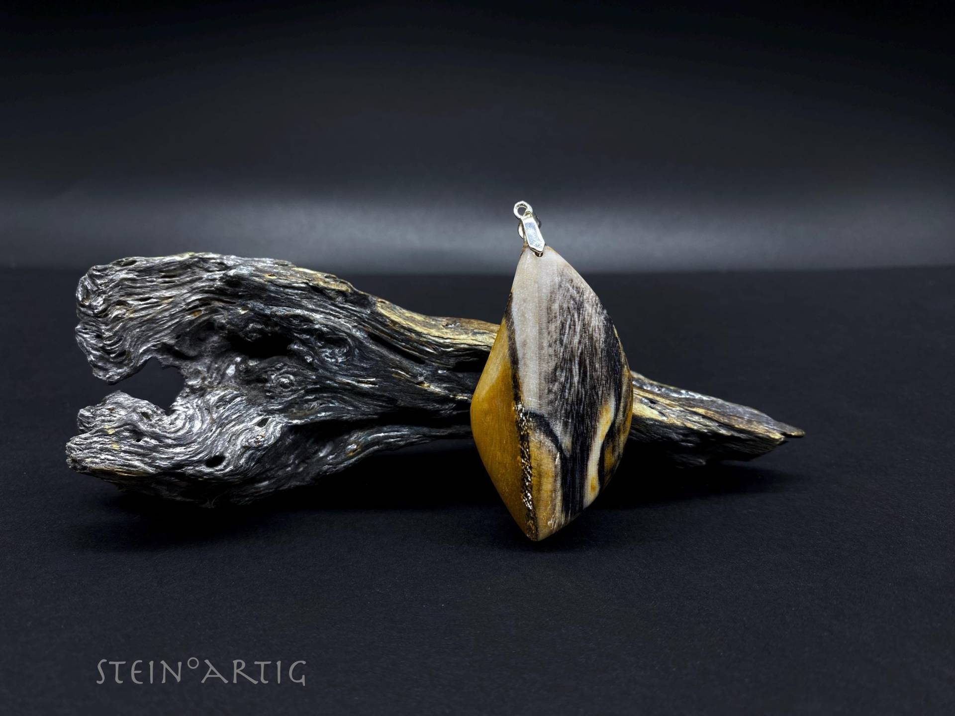 Edelstein Dendrolith -Versteinertes Holz, 925 Silber von Steinartig