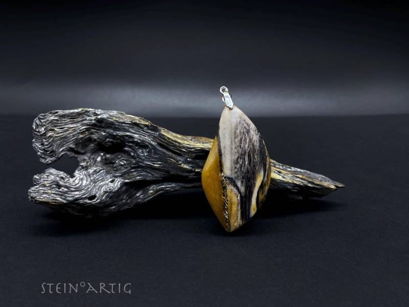 Edelstein Dendrolith -Versteinertes Holz, 925 Silber Edelstein Dendrolith -Versteinertes Holz, 925 Silber von Steinartig